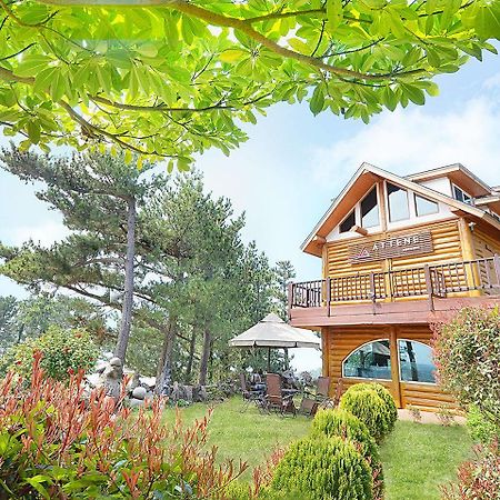 Attene Pension Jeju Dış mekan fotoğraf