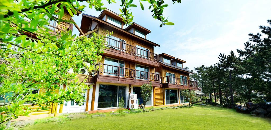 Attene Pension Jeju Oda fotoğraf