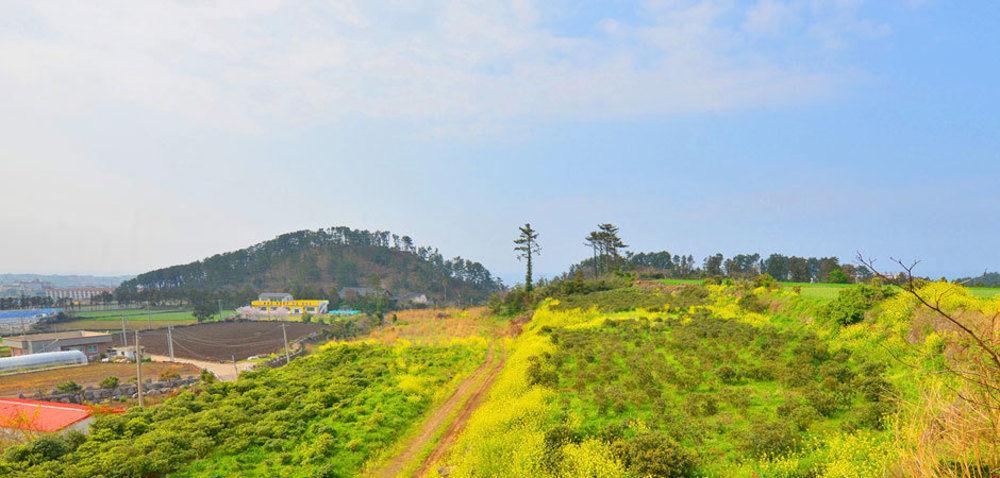 Attene Pension Jeju Dış mekan fotoğraf